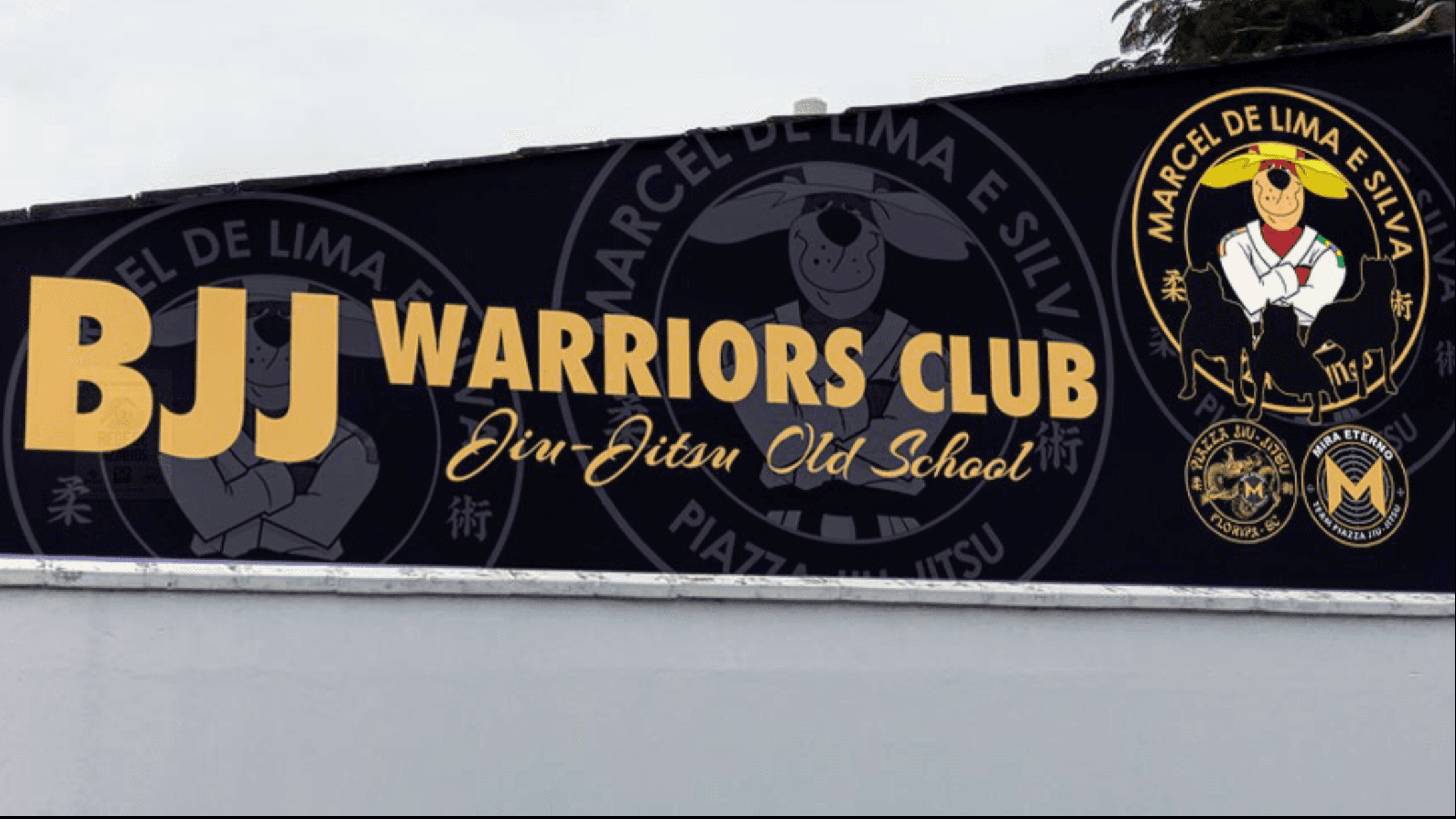 BJJ Warriors Club