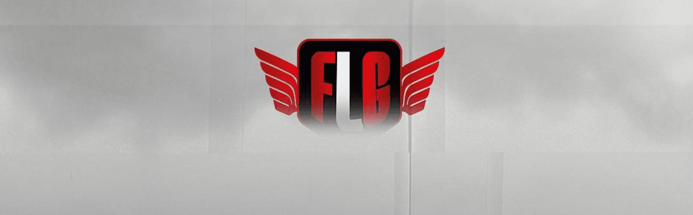 FLG TEAM - Escola de Jiu-Jitsu - Foto 1