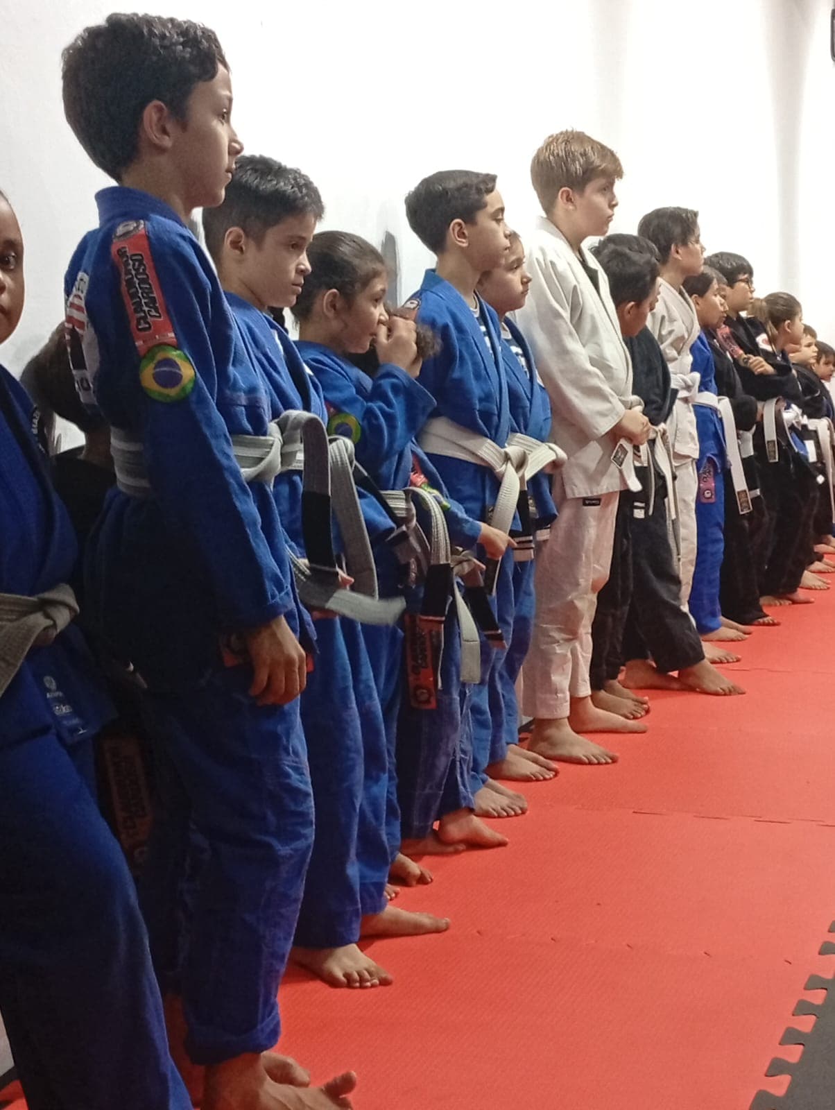 EQUIPE CLAUDIONOR CARDOSO BRAZILIAN JIU JITSU - Foto 1