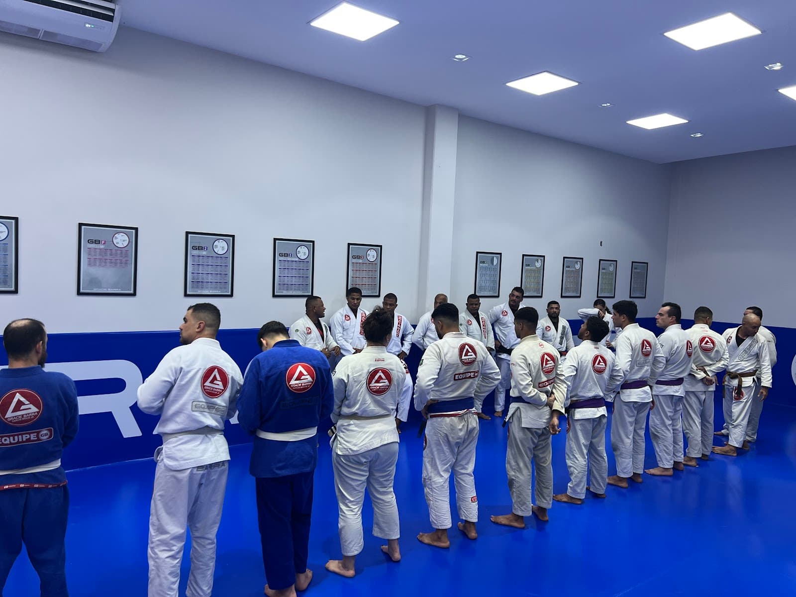 Gracie Barra São Domingos - Foto 1
