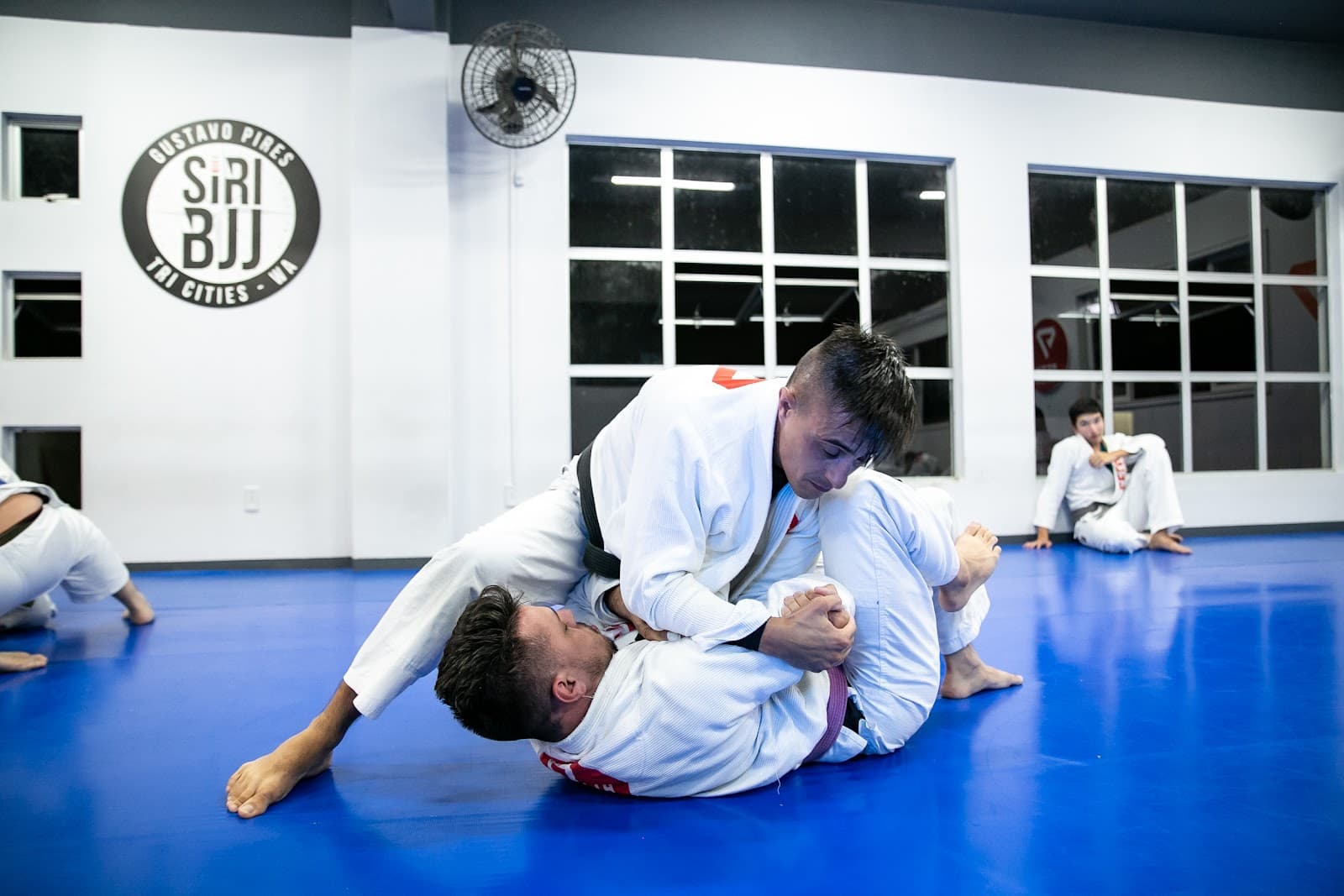 Seth Jiu Jitsu Joinville - Foto 1