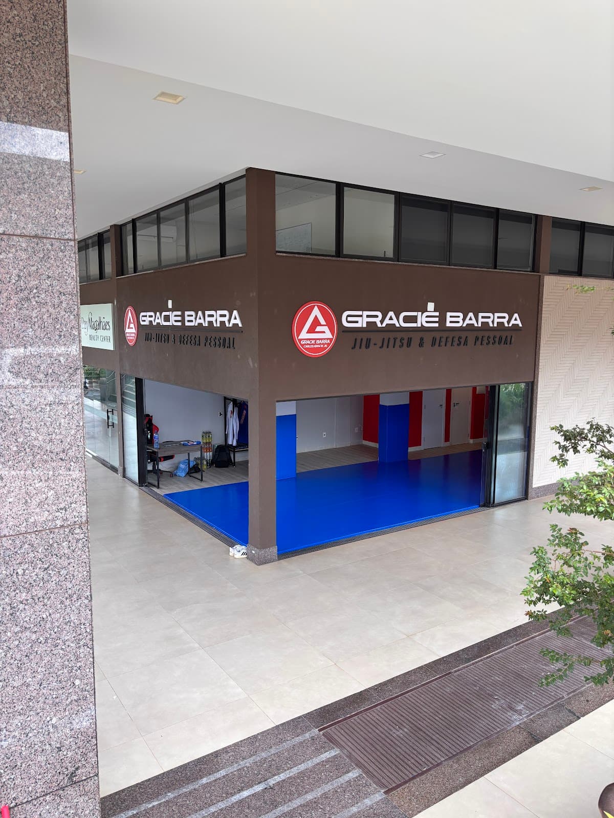 Gracie Barra Noroeste - Foto 1