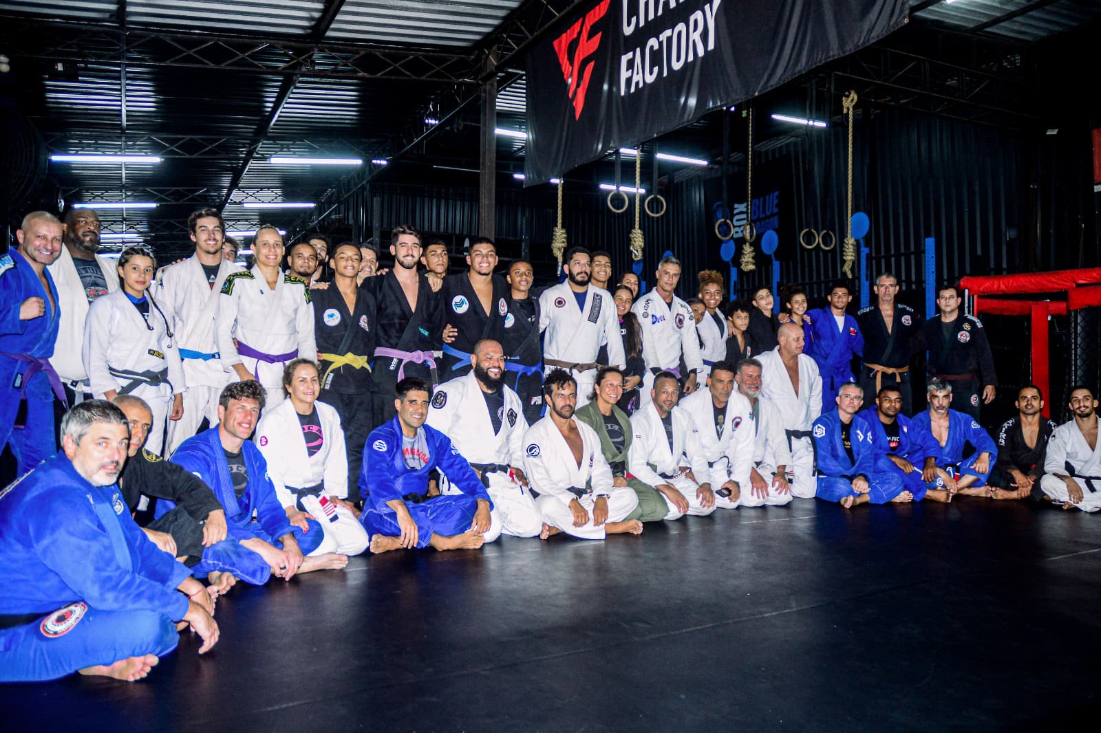 Action Jiu-Jitsu