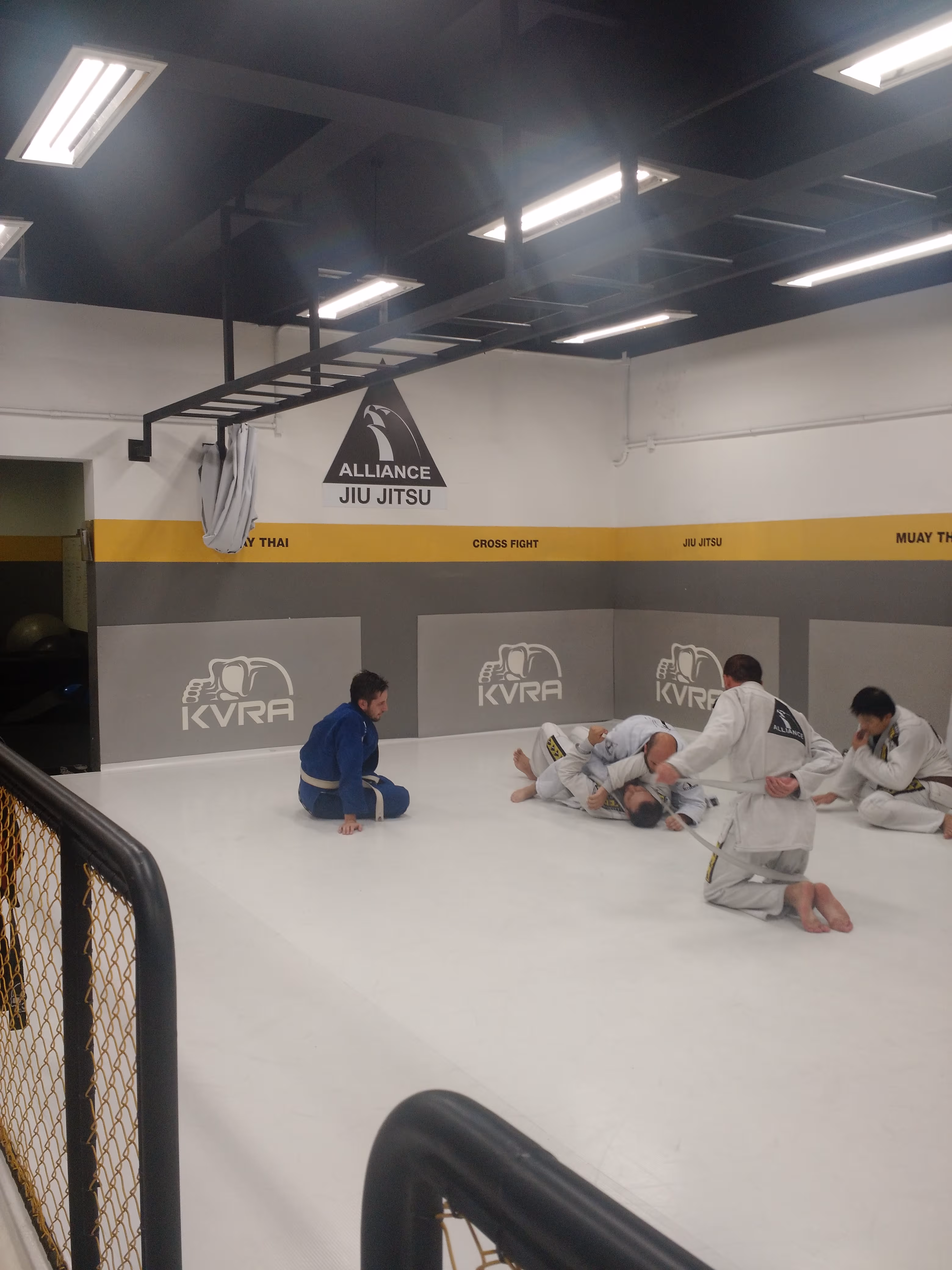 Alliance Jiu-Jitsu - Alto do Ipiranga - Foto 1
