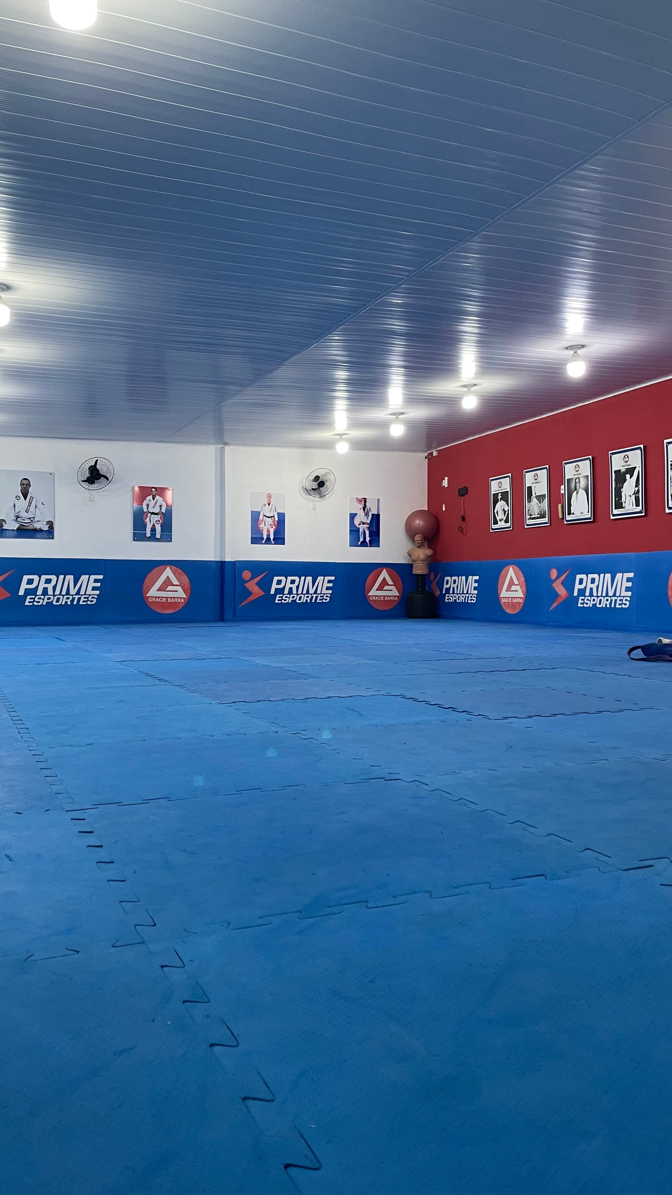 Gracie Barra Alagoas