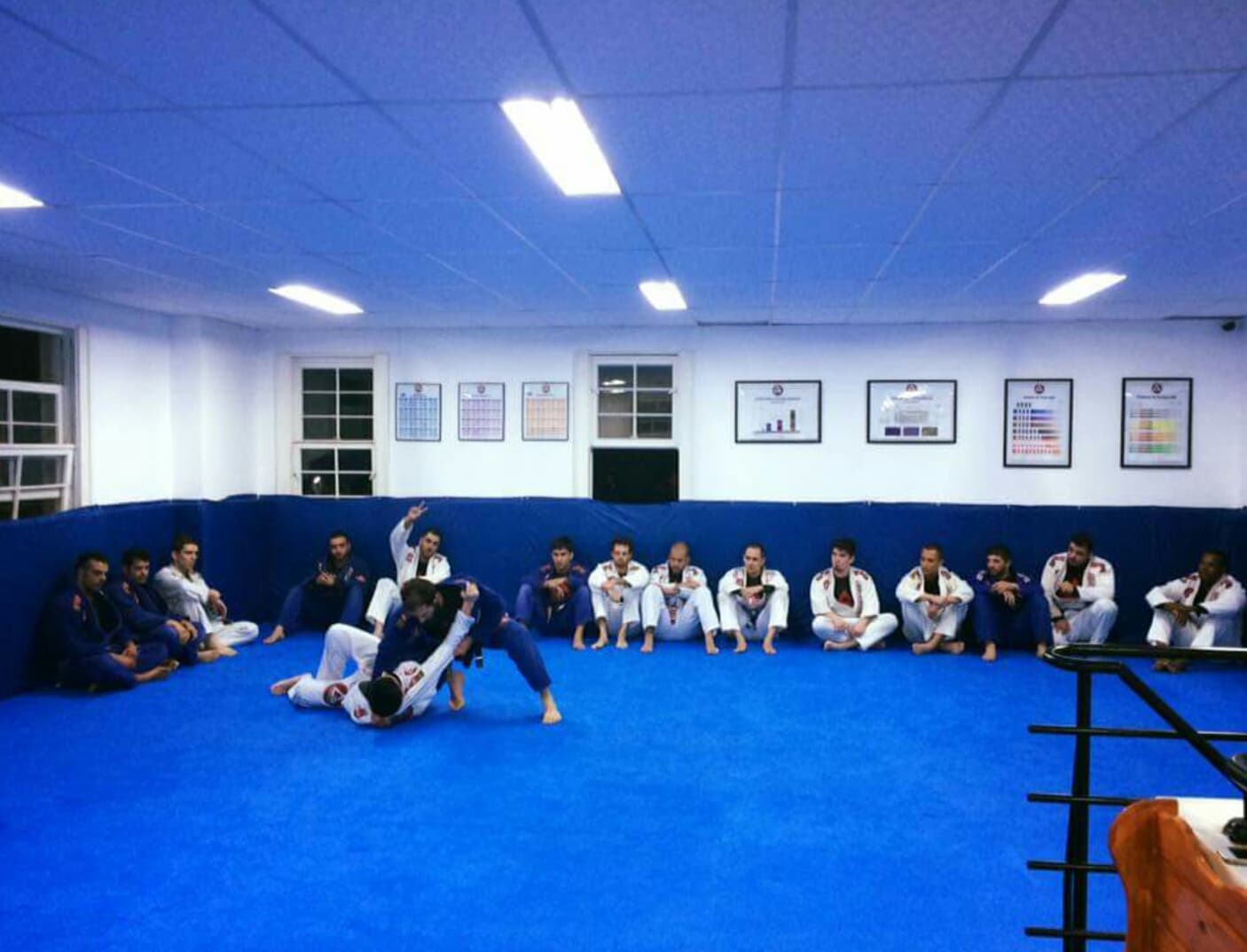 Gracie Barra - Porto Alegre - Foto 1