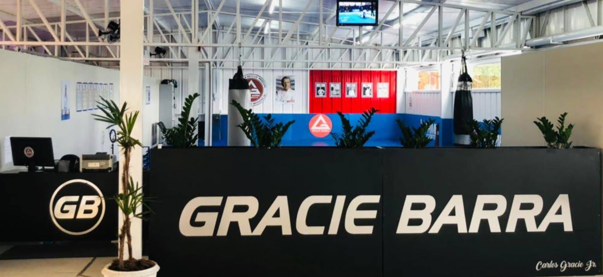 Gracie Barra - Santo Amaro da Imperatriz - Foto 1